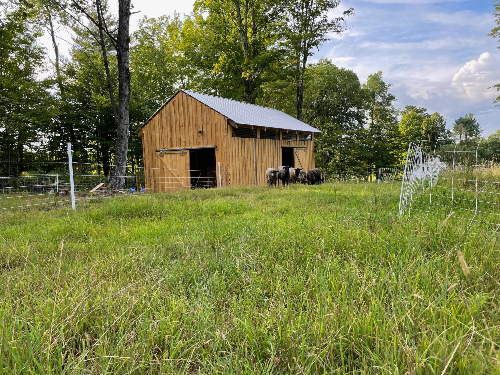Loony Moon Farm
