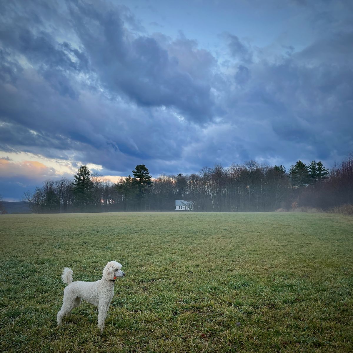About The Farm
