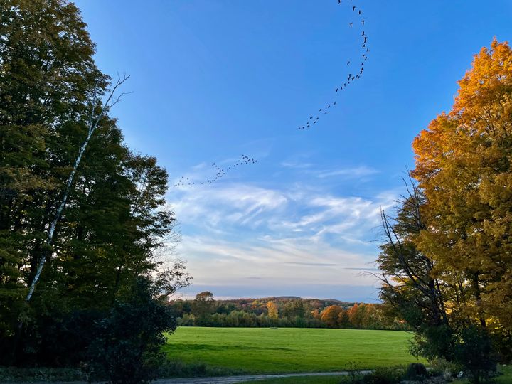 Autumn is here, and it's time to reflect